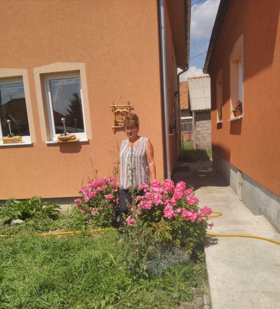 Apartmani ,,Bato,, Sjenica Exteriér fotografie